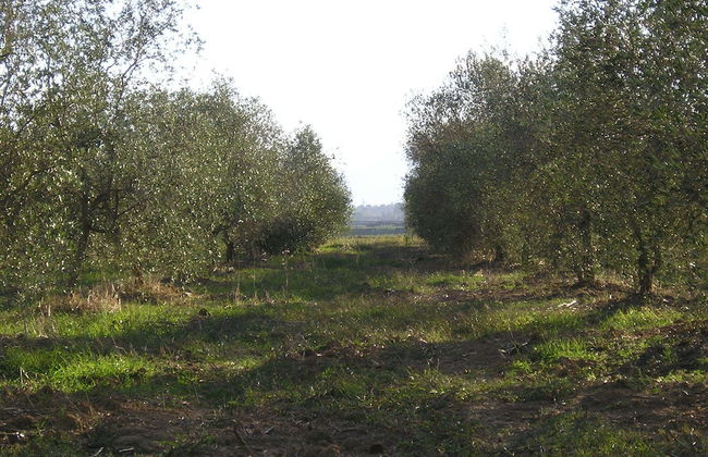 Agriturismo Benvenuti - Foto 44