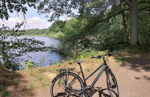 Blockbohlenhaus "Steiner Lodge" - Foto 9