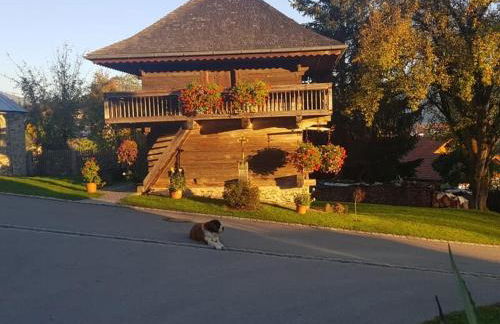 Ferienhof Altmann - Foto 25