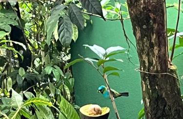 Chalé Suítes Casa na Praia de Itamambuca - Foto 64