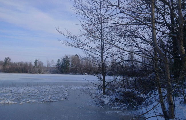 4 Person Holiday Home in Holmsjo-by Traum - Photo 9