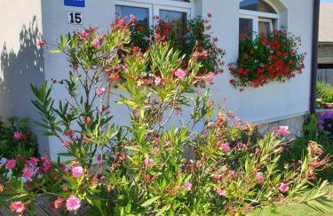 Apartments Žegarac House - Foto 45