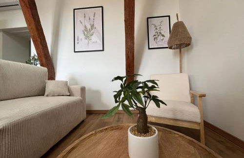 Louis XIII, Le Somail. - Foto 47