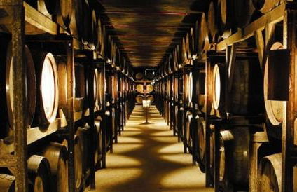 Casa Máximo - Foto 40