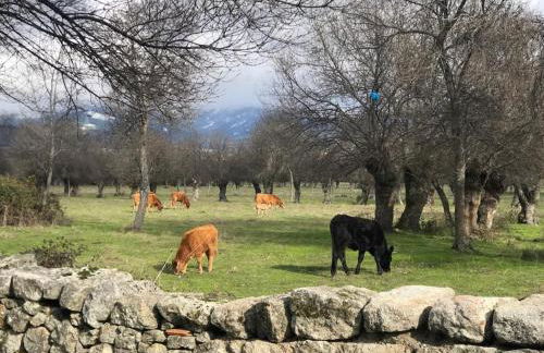 Guadarrama, ático nuevo con espectaculares vistas - Foto 9