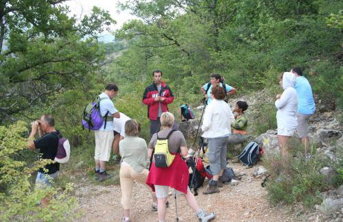 Le Cloître des Dominicains - Foto 35
