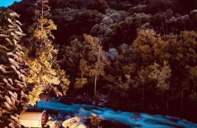 Paradise Ranch Inn- Limitless House Hot Tub,Sauna - Foto 34