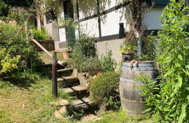 Historische Breidenmühle - Foto 8