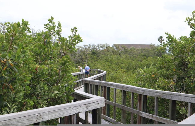 Tranquility - Waterfront Villa With Pool Dock - Photo 73