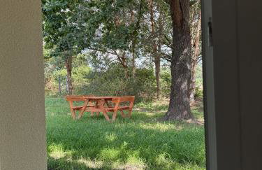 Apartamenty i Winnica - Siedlisko Na Polanie - Foto 20