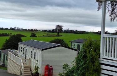 The Hummingbird - Photo 12