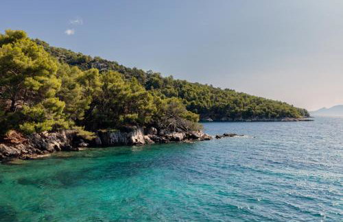 La Villa Bleue Secluded Hvar Beach House - Foto 44