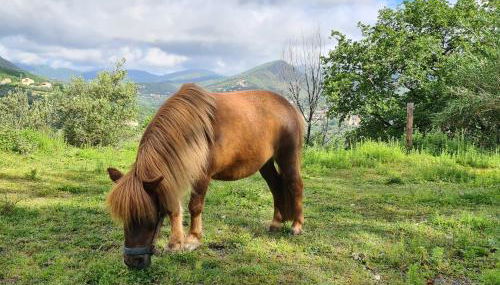 Tra mare e campagna - Photo 2