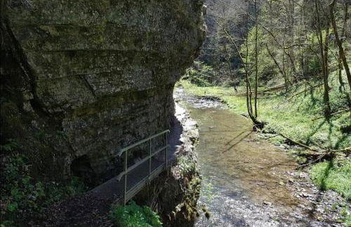 Ferienwohnung Schwarzwaldglück - Foto 36