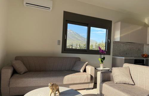 Poseidon 77B Luxury Residences - Foto 28