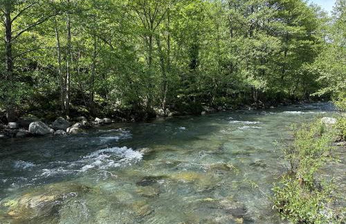 La Clède du PontNeuf - Foto 24