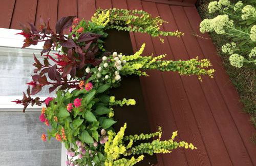 Serene Tiny House with a Big Charm for Glamping in Virginia - Photo 33