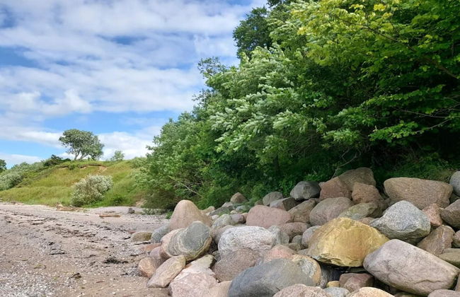 6 Person Holiday Home in Brenderup Fyn - Photo 11