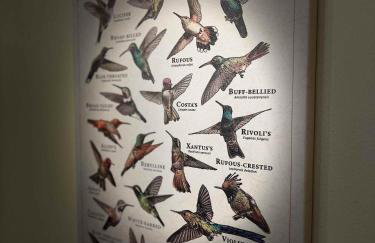 The Hummingbird at Zen Zion - Photo 3