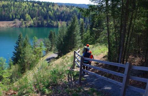 Ferienwohnung auf dem Dach des Frankenwaldes - Foto 29