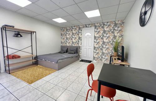 Le petit Penon ~ T1 Bis avec parking /clim /Fibre - Foto 7