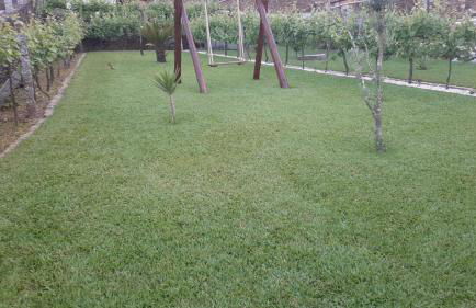 Casa da Tia Bina - Foto 48