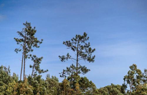 GuestReady - Nature and tranquillity in Madeira - Foto 55