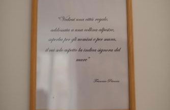 L'ulivo e il colibrì - Foto 26