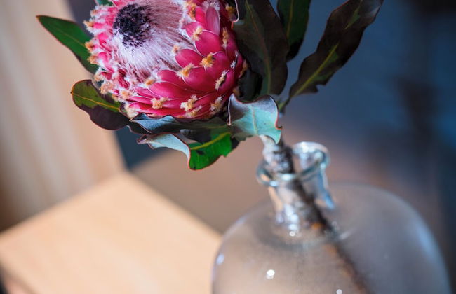 freiraum Apartments - Foto 3