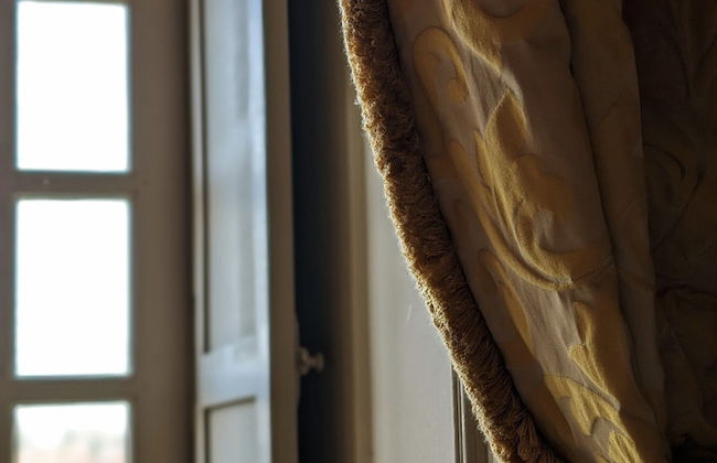 Domaine du Bosc Roger - Foto 16