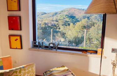 Sierra Melides Villa,Alentejo, BR2 with private pool, BR3 with private pool - near beach - Foto 54