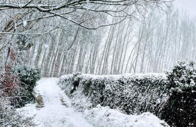 Complejo Apartamentos Rurales Molino de Abajo - Foto 41