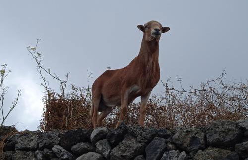 Casa Ben Abora - Foto 18