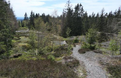 Lauschablick FeWo Thüringen - Foto 33