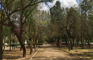 Amor Sin Fin - Foto 53