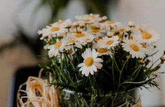 AIORA yard - Foto 11