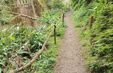 Casa da Cascata do Segredo - Photo 22