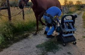 Casas de Santa Rita - Foto 71