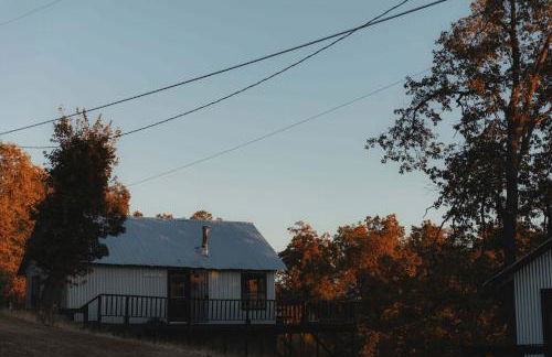 Secluded rustic 2-bedroom cabin on nature retreat - Photo 25