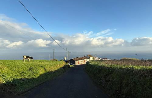 Casa Amélia - Photo 32