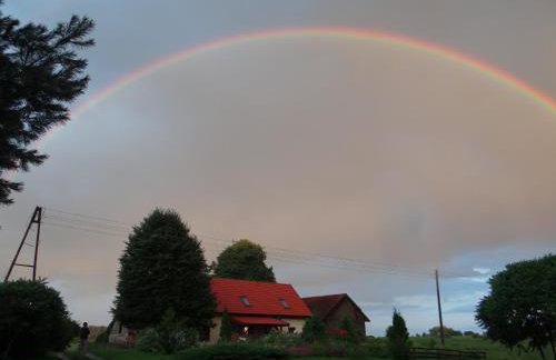 Zielony Gaj - Photo 49