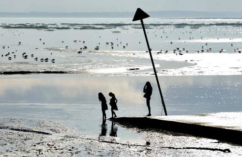 Airport Reach - Foto 35