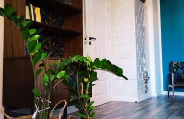 Lawendowo- sauna, jacuzzi, domki w ogrodzie i apartamenty w kamienicy - Photo 36