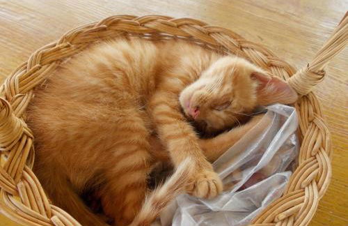 Agriturismo Laire Masseria - Foto 16