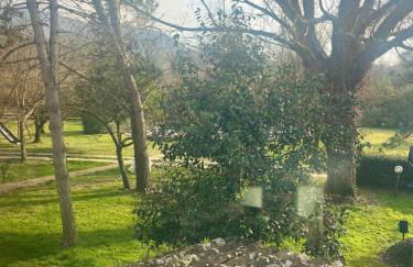 Il Vecchio Mulino - Foto 6