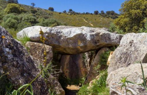 El Pitijopo - Foto 50