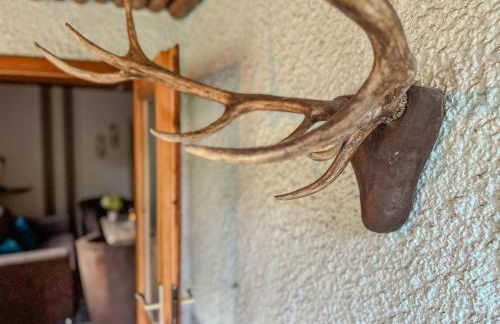 Knusperhäuschen - Foto 6