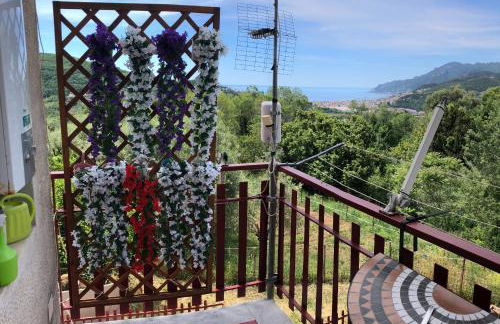 Il cipresso - Photo 2