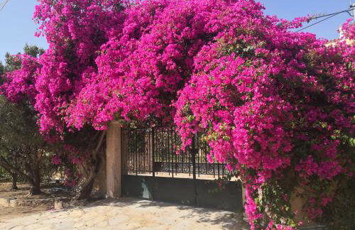 Billy's Place - Foto 11