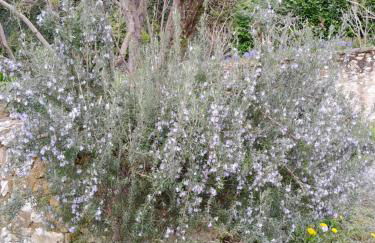 Hôtel des arts - Gîte Architecture dans le Perche - Foto 19